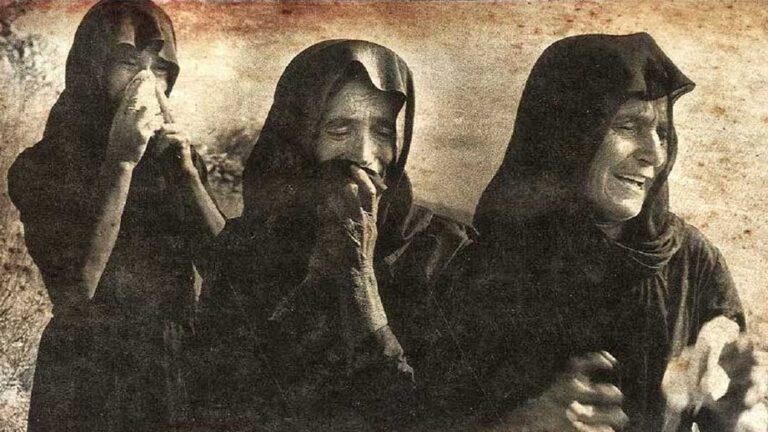 10001040_10202816913481796_435016798341785268_o